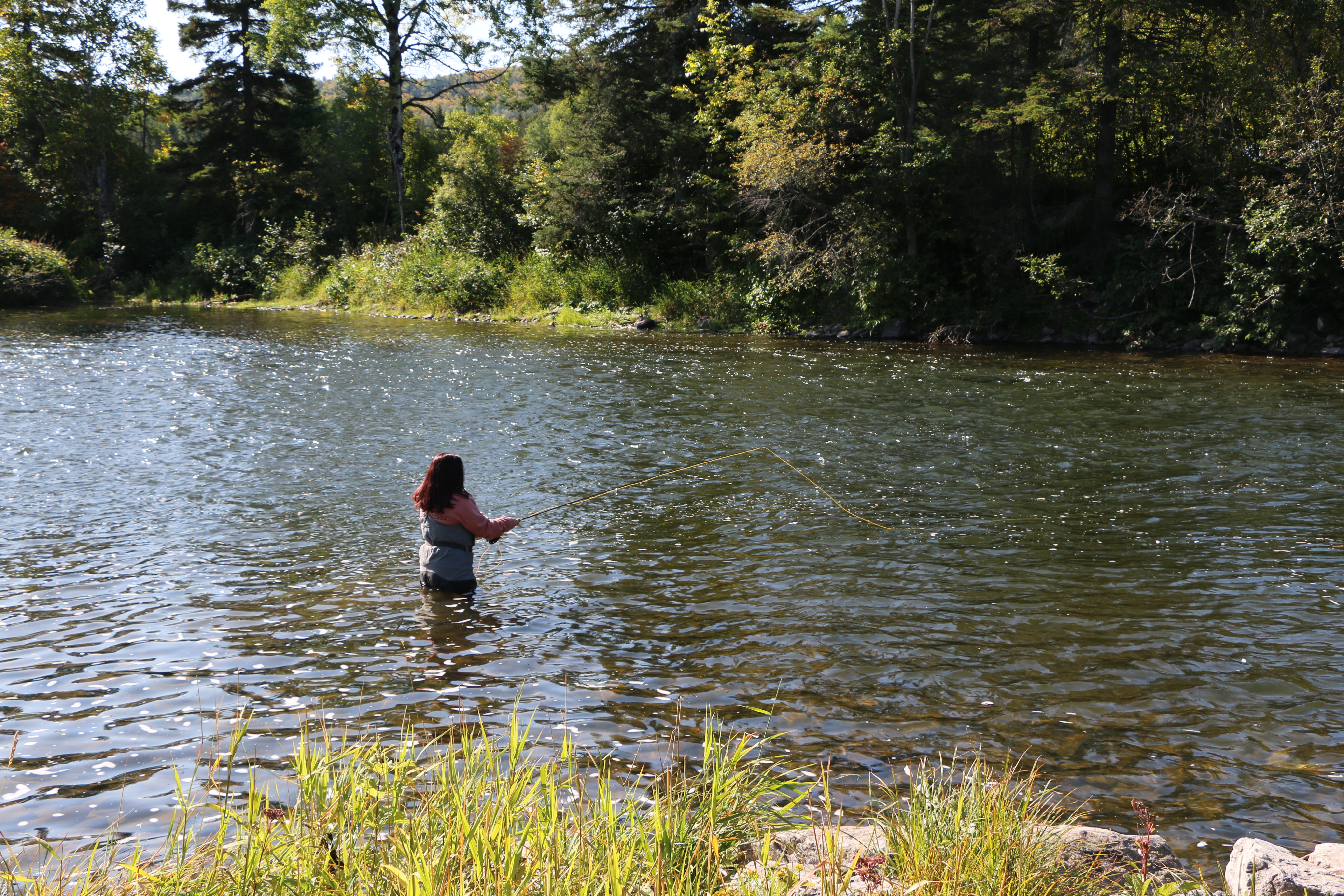 Statistiques de pêche