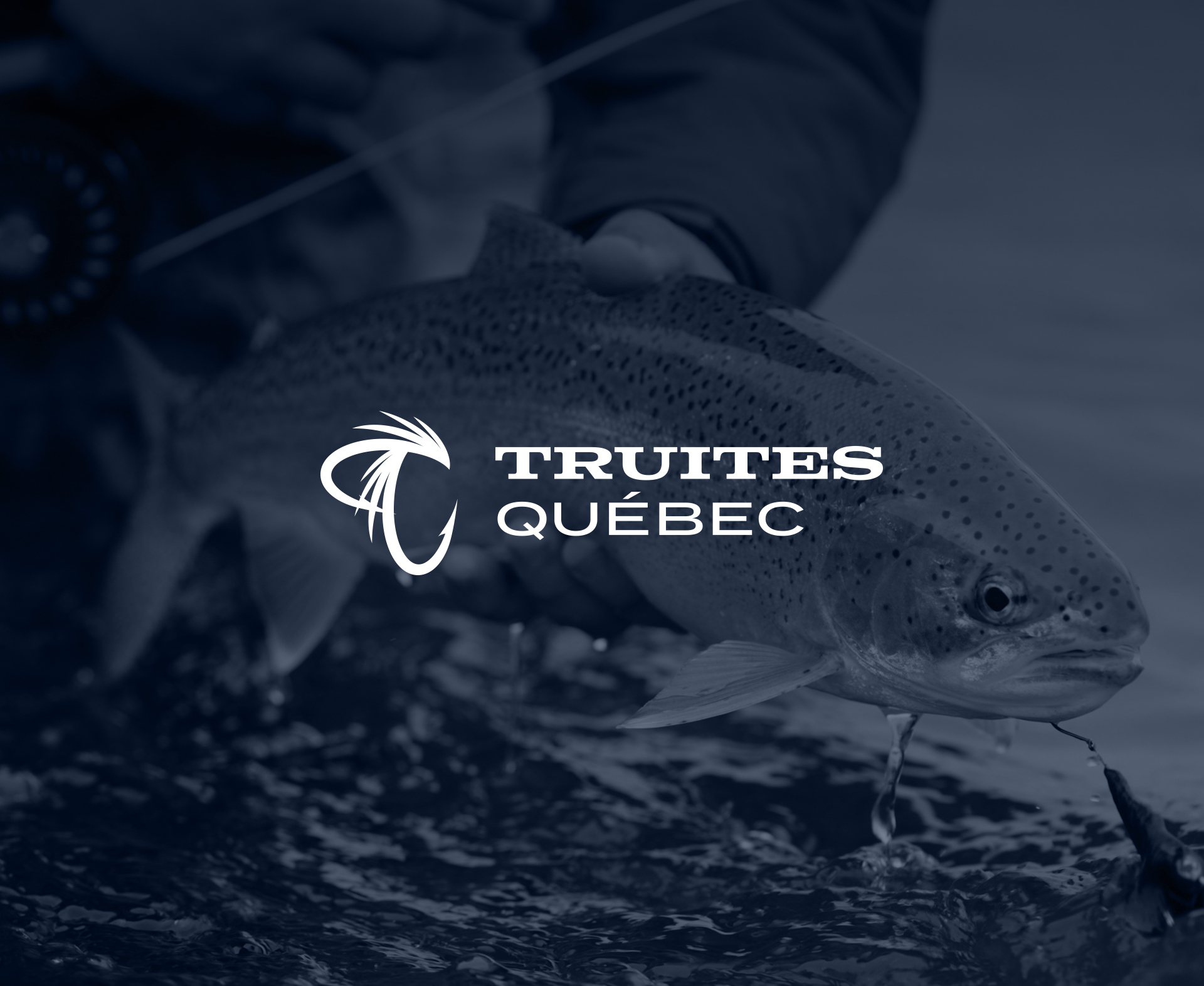 Saumon Québec deviendra bientôt Truites Québec