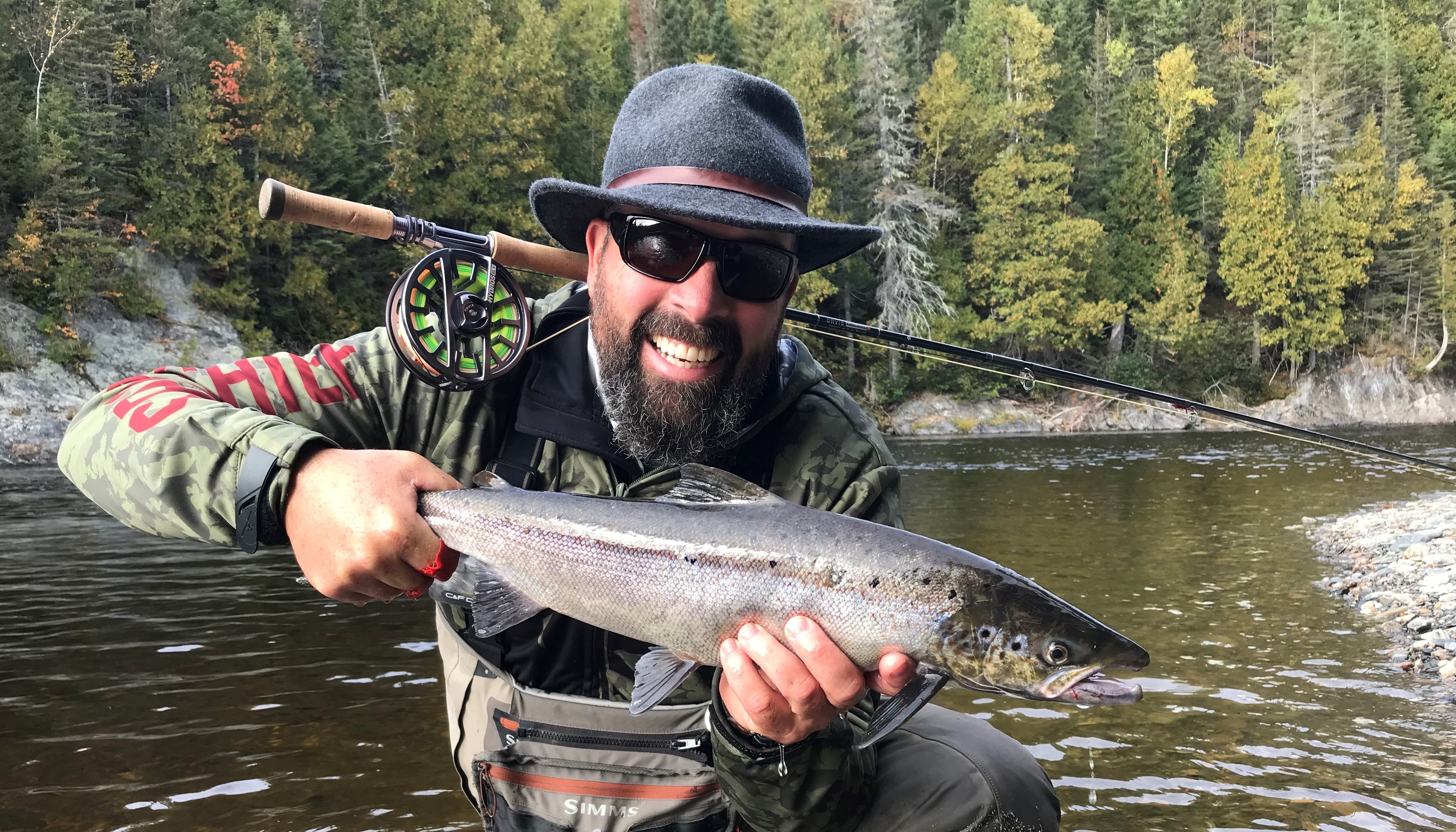 NORMAND FISET NOMMÉ PRÉSIDENT PAR INTÉRIM