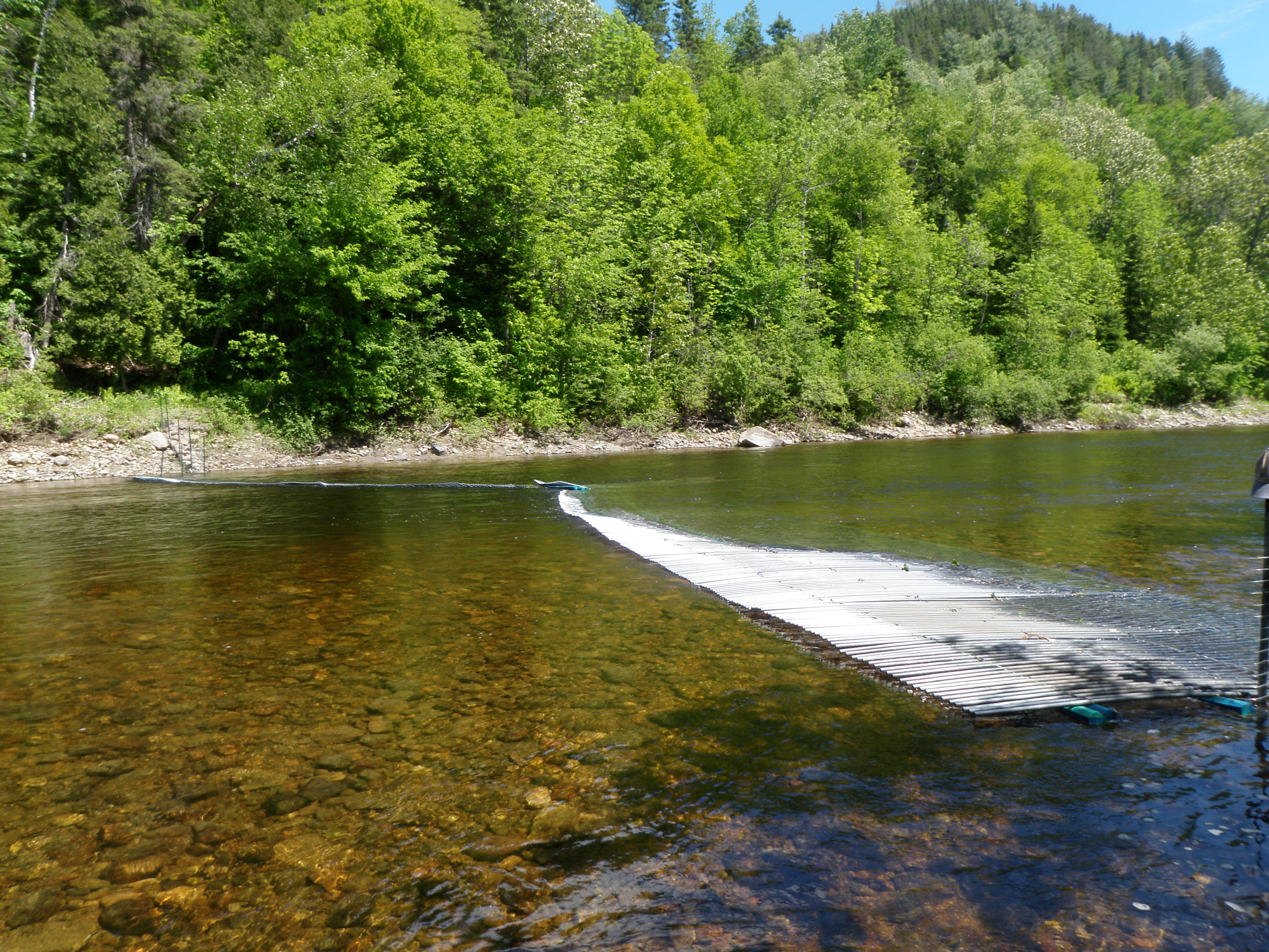 Dénombrement du saumon à l’aide de compteurs automatiques