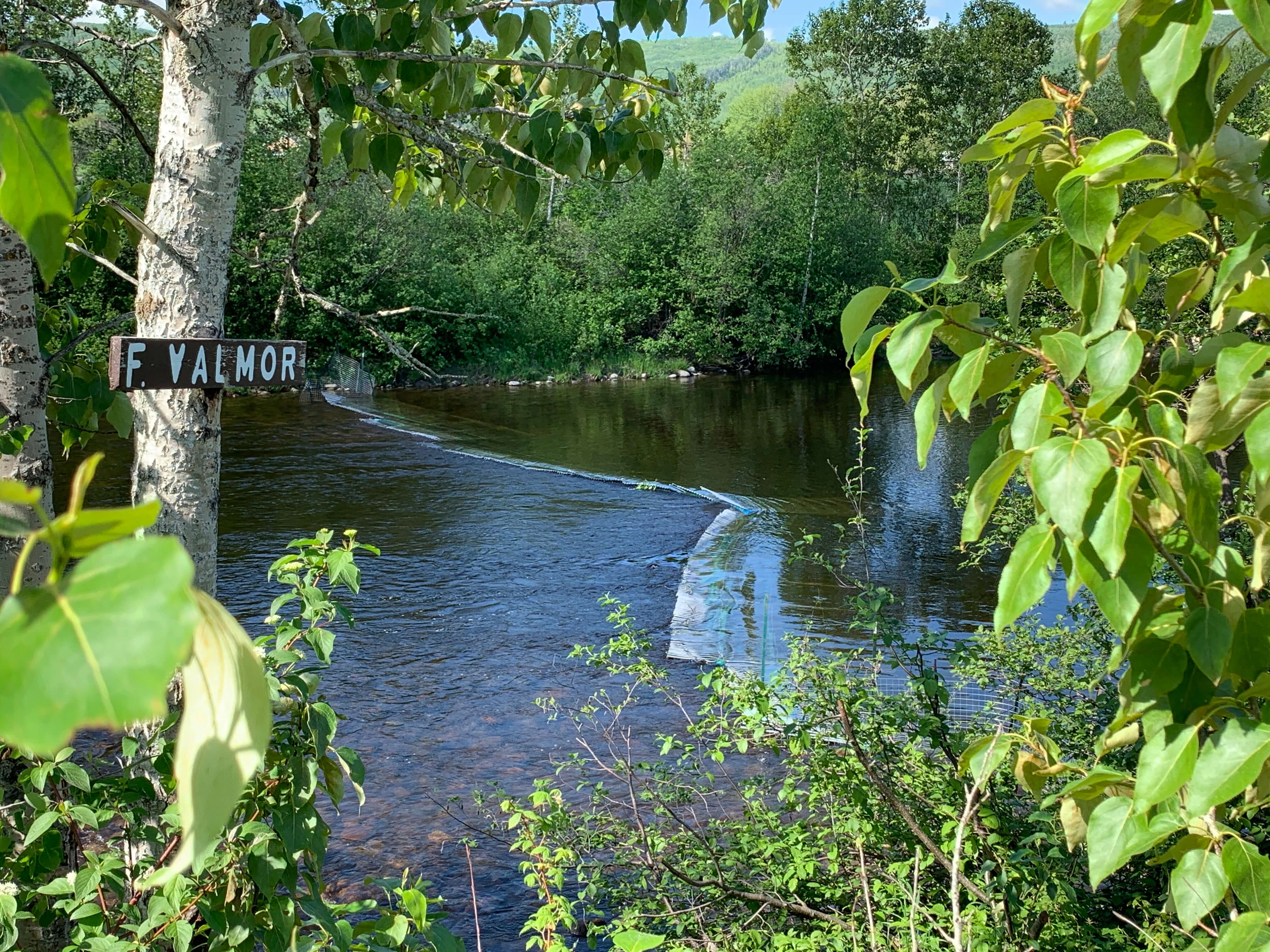 LE PDPS CONTINUE SUR SA BELLE LANCÉE