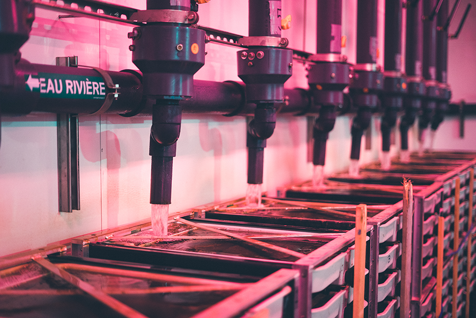 LA FQSA SE RÉJOUIT DES DISPOSITIONS PRISES PAR LE MFFP CONCERNANT L'AIS