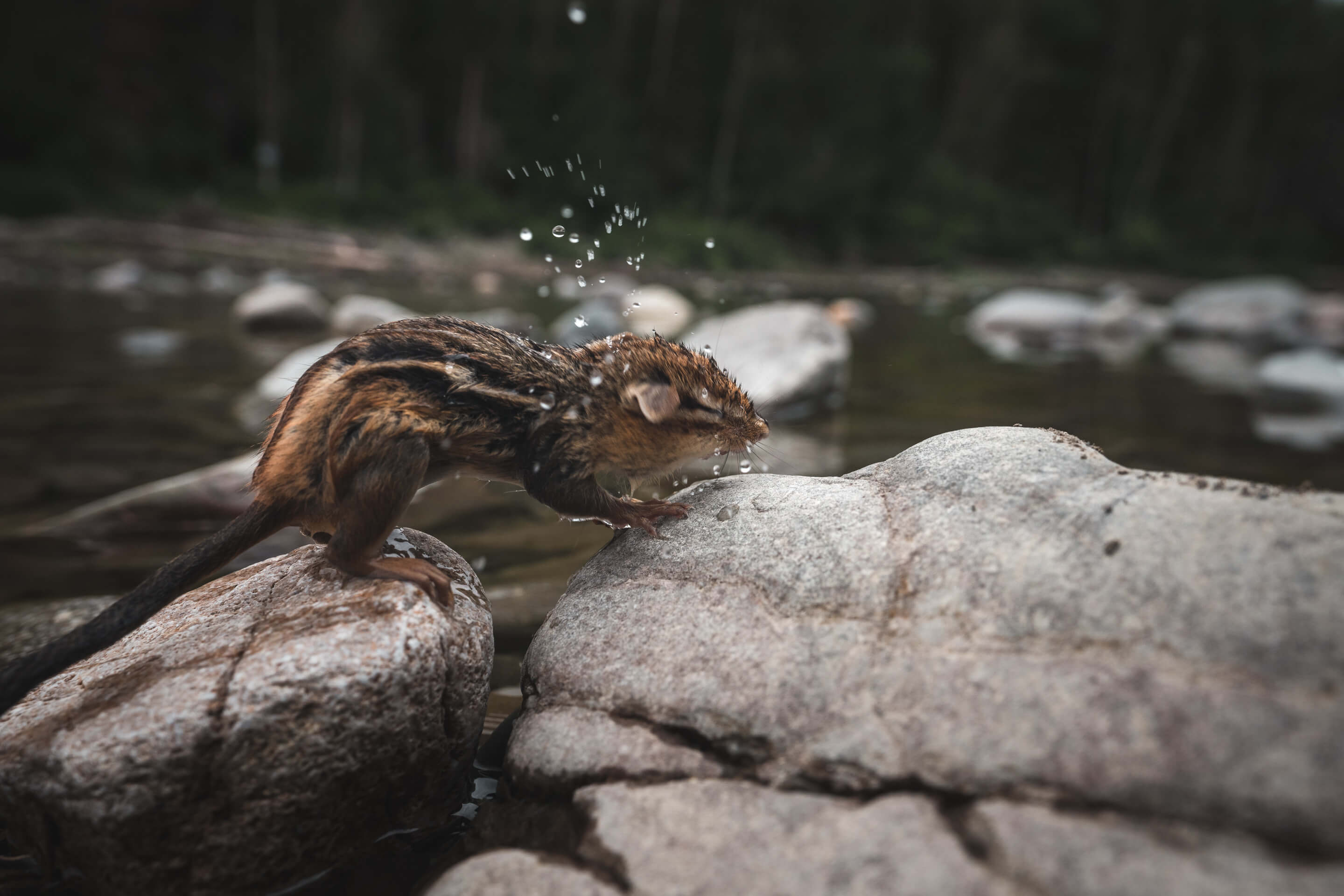 La protection de l'eau au Québec : notre affaire à tous et à toutes